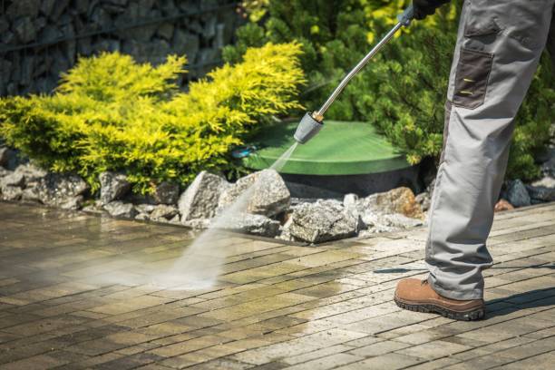 Best Solar Panel Cleaning  in Fleetwood, PA